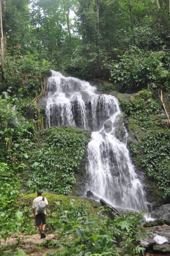 Chegando à Irene Val (Cachoeira da Irene), na Reserva Natural de Brownsberg, no Suriname